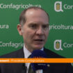 giansanti-(confagricoltura)-“serve-un-nuovo-green-deal-europeo”