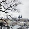 presto-a-praga-una-via-dedicata-a-angelo-maria-ripellino