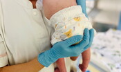rifiutato-l’appello-per-indie.-legale-della-famiglia-“lavoriamo-ad-altri-percorsi”