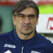 juric-e-quel-doppio-gestaccio-in-tribuna:-“brutto-sentire-insultare-i-propri-giocatori”
