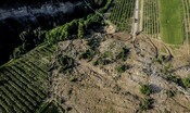 musumeci,-94%-dei-comuni-esposti-a-rischio-frane