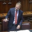 grano,-lollobrigida-“avvio-campagna-per-controllo-filiera”