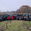 parte-da-torino-il-progetto-per-la-riforestazione-“think-forestry”