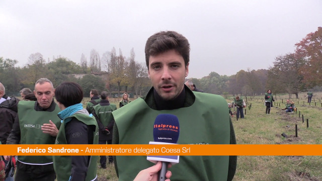 “think-forestry”,-sandrone-“piccolo-passo-per-qualcosa-di-concreto”