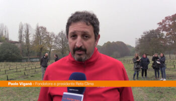 “think-forestry”,-vigano-“sara-ripetuto-in-diverse-zone-d’italia”