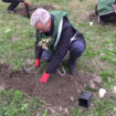 al-via-progetto-di-riforestazione-da-torino
