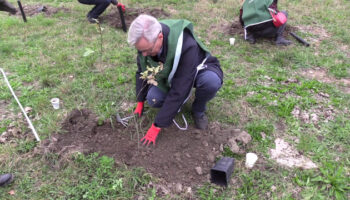 al-via-progetto-di-riforestazione-da-torino