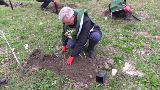 al-via-progetto-di-riforestazione-da-torino