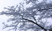 arriva-il-freddo-nel-weekend