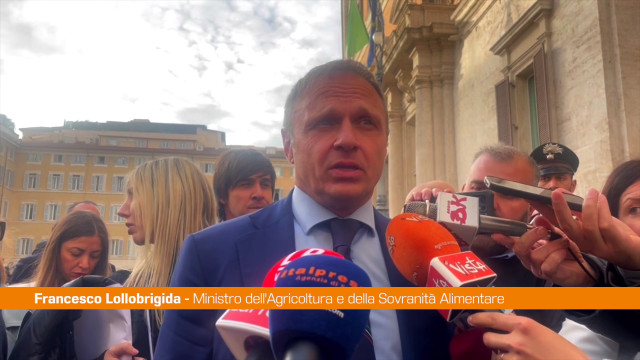 carne-coltivata,-lollobrigida-“siamo-ottimisti,-italia-non-e-piu-sola”