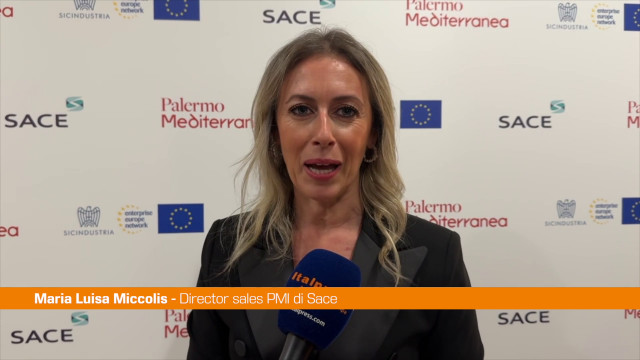 miccolis-“da-sace-nel-2023-sostegno-a-1300-aziende-siciliane”