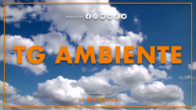 tg-ambiente-–-19/11/2023