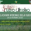 a-caivano-il-parco-“cuore-verde”-grazie-a-riqualificazione-carabinieri