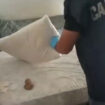 anziani-tra-escrementi-e-cibo-scaduto,-2-arresti-a-reggio-calabria