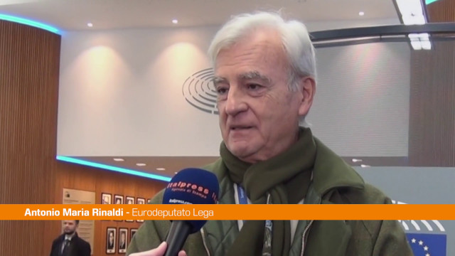 ue,-rinaldi-“riforma-patto-di-stabilita-non-va-nella-giusta-direzione”