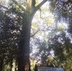 sara-realizzato-a-pesaro-il-primo-parco-della-salute-certificato