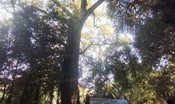 sara-realizzato-a-pesaro-il-primo-parco-della-salute-certificato