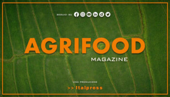 agrifood-magazine-–-22/11/2023