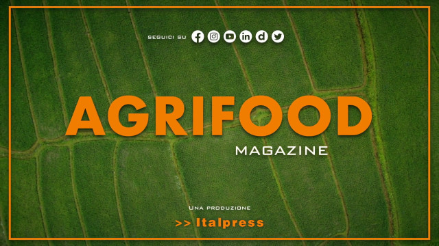 agrifood-magazine-–-22/11/2023