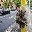 nei-primi-nove-mesi-del-2023-sono-diminuite-le-vittime-della-strada