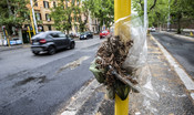 nei-primi-nove-mesi-del-2023-sono-diminuite-le-vittime-della-strada