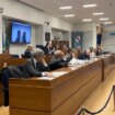 campania,-dal-consiglio-ok-a-variazione-di-bilancio-e-pdl-su-pet-therapy