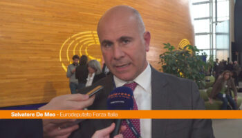 imballaggi,-de-meo-“parlamento-ue-ha-corretto-assurdita”