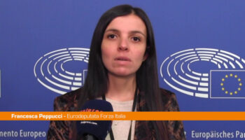 violenza-donne,-peppucci-“serve-una-normativa-unica-in-europa”