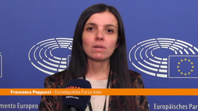 violenza-donne,-peppucci-“serve-una-normativa-unica-in-europa”