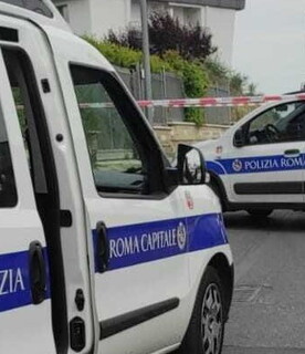 una-donna-uccisa-da-un-albero-spezzato-dal-vento