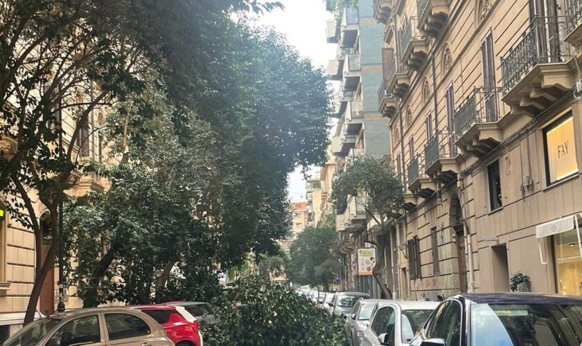 palermo,-alberi-caduti-per-il-forte-vento-in-citta-/-video