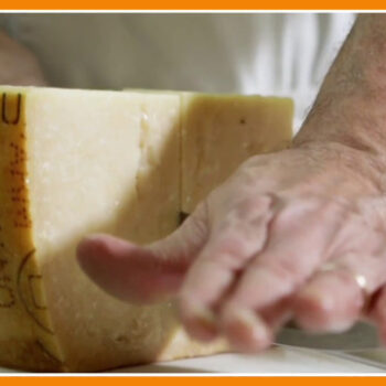 sorsi-di-benessere-–-aromatizzare-il-parmigiano?-ecco-un’idea-gustosa