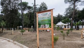 a-caivano-il-parco-“cuore-verde”-grazie-a-riqualificazione-dei-carabinieri