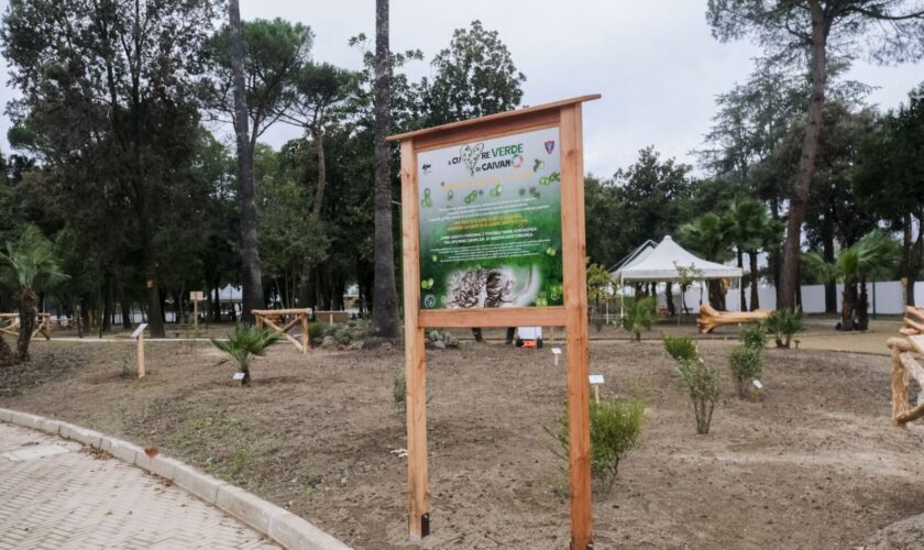 a-caivano-il-parco-“cuore-verde”-grazie-a-riqualificazione-dei-carabinieri