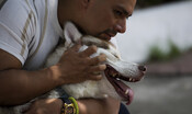 cane-smarrito-si-‘arruola’-in-polizia-e-ritrova-il-suo-padrone