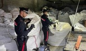 maxi-sequestro-di-marijuana-nel-cagliaritano-[video]