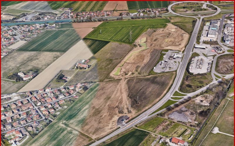 oltre-14.000-alberi-per-riforestare-il-parco-del-bacino-di-malcontenta