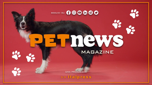 petnews-magazine-–-28/11/2023