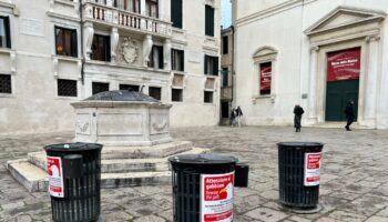 un-vademecum-per-la-corretta-convivenza-con-i-gabbiani-reali