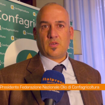 olio,-placida-“l’italia-recuperi-competitivita”