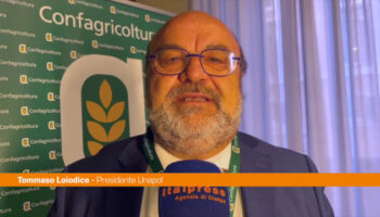 loiodice-“l’olio-ha-un-valore-sociale-e-non-solo-economico”