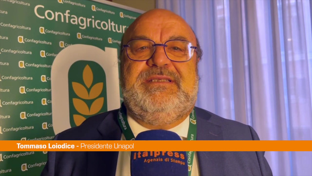 loiodice-“l’olio-ha-un-valore-sociale-e-non-solo-economico”