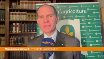 giansanti-“il-comparto-dell’olio-e-strategico-per-l’italia”