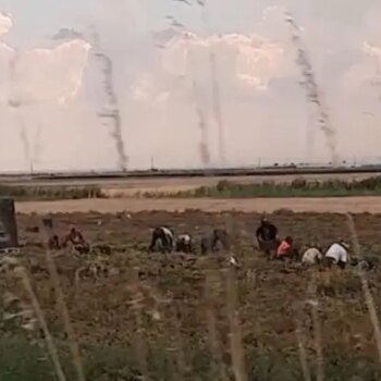 sfruttamento-del-lavoro-e-caporalato,-16-indagati-tra-caltanissetta-e-agrigento