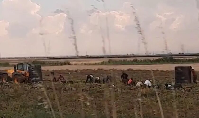 sfruttamento-del-lavoro-e-caporalato,-16-indagati-tra-caltanissetta-e-agrigento