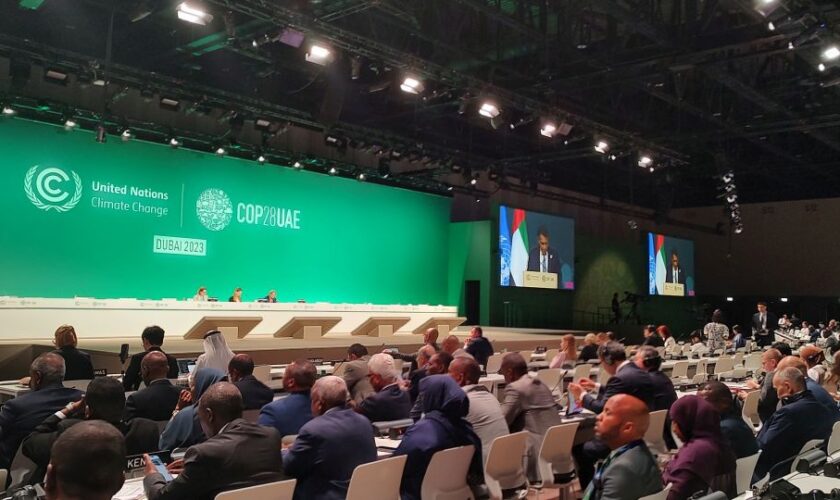 da-meloni-a-sunak,-lula,-macron,-i-leader-globali-alla-cop28