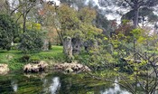 giardino-di-ninfa,-il-tempo-sospeso-tra-autunno-e-inverno:-apertura-straordinaria-l’8-dicembre