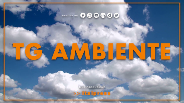 tg-ambiente-–-3/12/2023