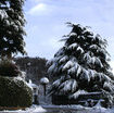 neve-in-arrivo-al-nord-anche-a-bassa-quota