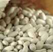 i-fagioli alleati-dell’intestino-contro-il-cancro-al-colon-retto